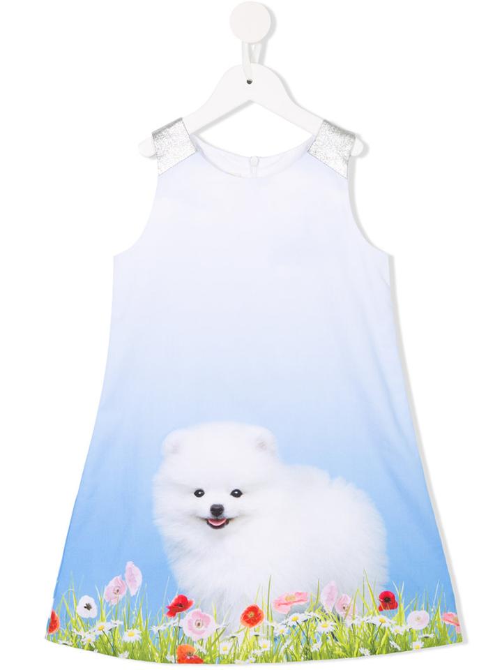 Anne Kurris Dog Print Dress, Girl's, Size: 6 Yrs, Blue