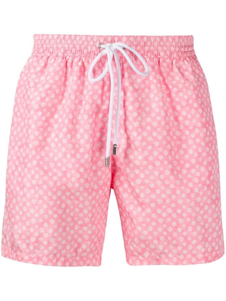 Barba - Pink