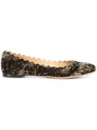 Chloé Lauren Ballerinas - Brown