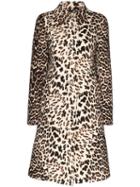 Prada Leopard-print Wool Coat - Brown