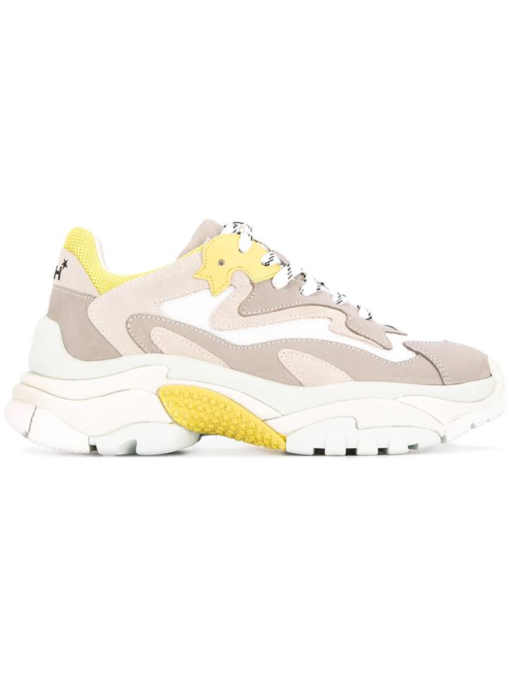 Ash Addict Sneakers - Grey