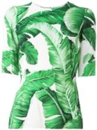Dolce & Gabbana Banana Leaf Print Top, Women's, Size: 42, Green, Viscose