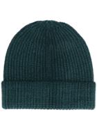 Altea Ribbed Knit Hat - Green
