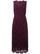 Dolce & Gabbana Floral Lace Midi Dress, Women's, Size: 40, Pink/purple, Silk/cotton/viscose