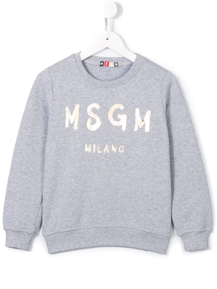 Msgm Kids Logo Sweatshirt, Girl's, Size: 10 Yrs, Grey