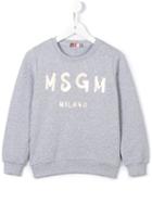 Msgm Kids Logo Sweatshirt, Girl's, Size: 10 Yrs, Grey