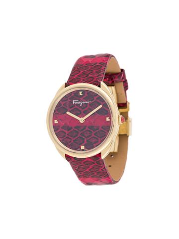 Salvatore Ferragamo Watches Cuir 34mm Watch - Red