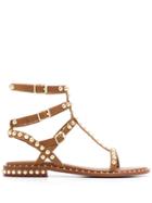 Ash Studded Buckle Sandals - Brown