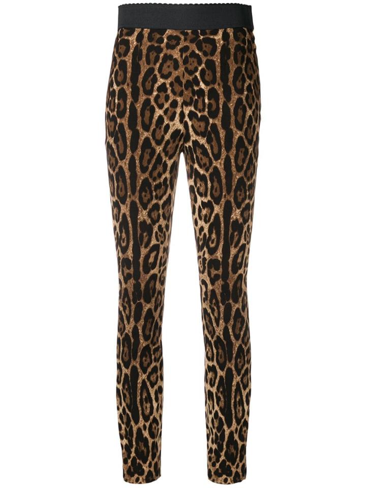 Dolce & Gabbana Leopard Print Leggings - Black