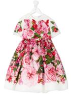 Dolce & Gabbana Kids Peony And Rose Print Dress, Toddler Girl's, Size: 4 Yrs, Pink/purple