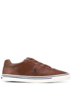 Polo Ralph Lauren Logo Low Top Sneakers - Brown