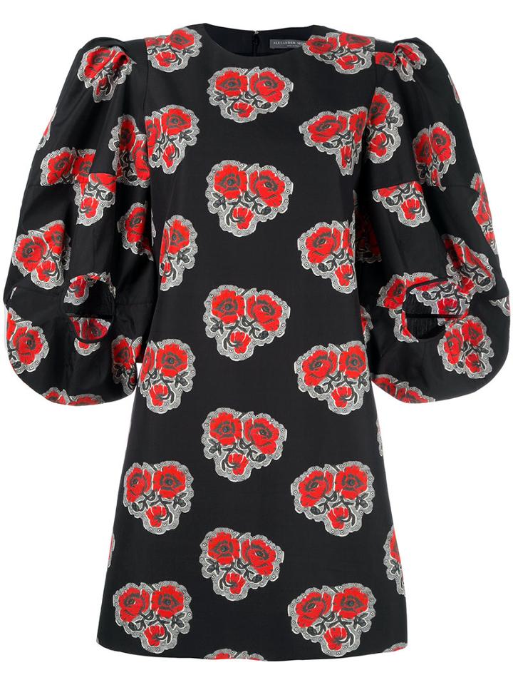 Alexander Mcqueen Poppy Print Dress, Women's, Size: 38, Black, Silk/cotton
