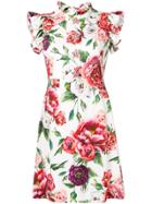 Dolce & Gabbana Peony Print Cady Dress - Multicolour