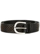 Orciani Perforated Belt - Black