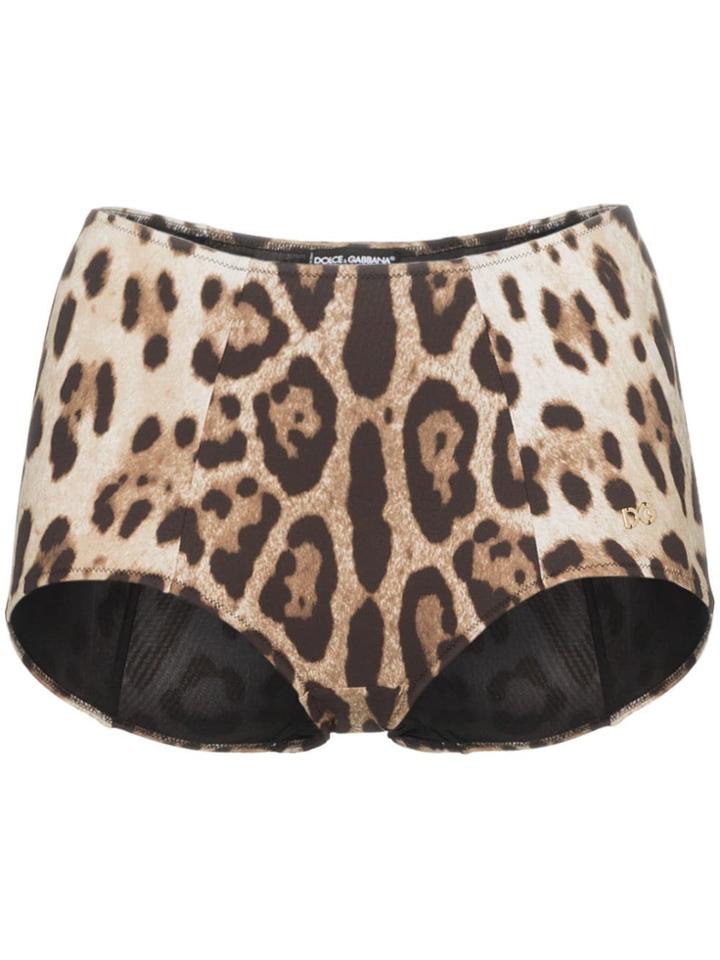 Dolce & Gabbana Leopard Print Bikini Bottoms - Brown