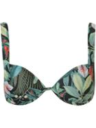 Lygia & Nanny Printed Demi Bikini Top