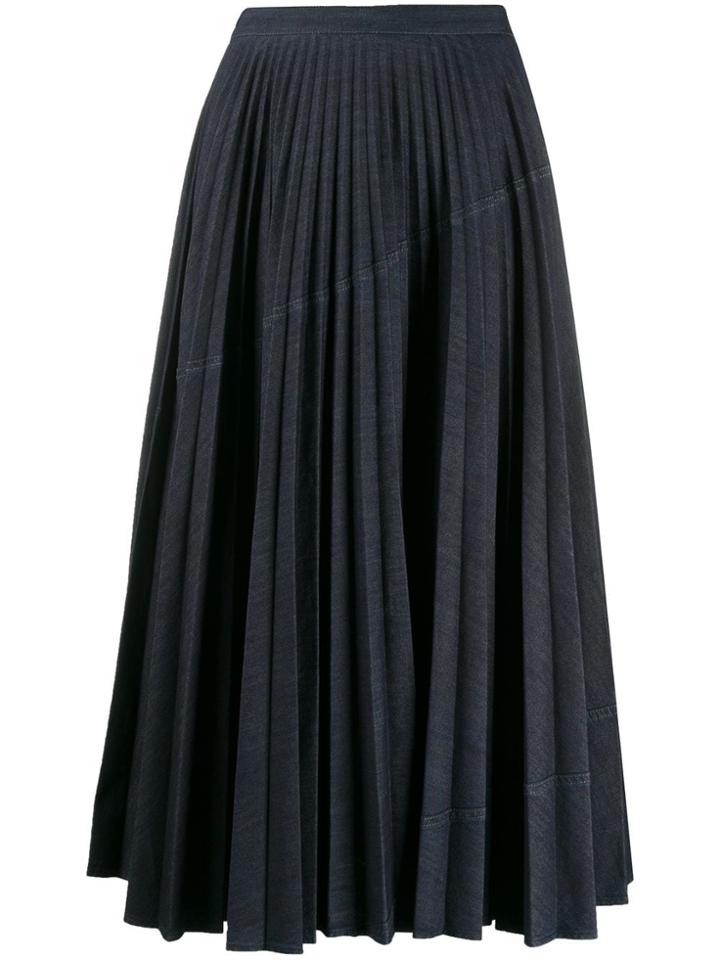 Valentino A-line Pleated Skirt - Blue