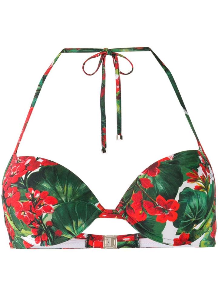 Dolce & Gabbana Portofino Print Bikini Top - Red