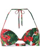 Dolce & Gabbana Portofino Print Bikini Top - Red