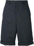 Comme Des Garçons Homme Plus Striped Pleated Shorts