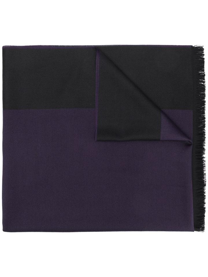 Emporio Armani Two-tone Scarf - Blue