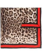 Dolce & Gabbana Framed Neck Scarf - Brown
