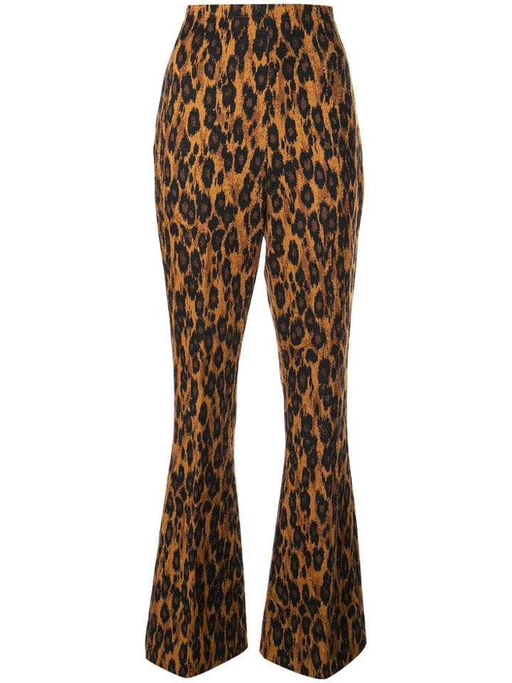 Miu Miu Leopard Flared Trousers - Orange