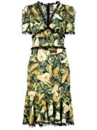 Dolce & Gabbana Pear Print Dress - Green