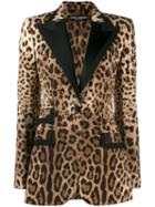 Dolce & Gabbana Animal Print Tuxedo Style Blazer - Brown
