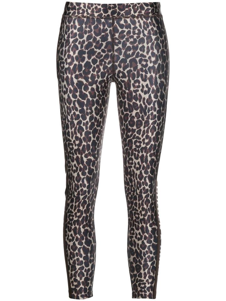 Golden Goose Leopard Print Leggings - Brown