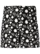 Giambattista Valli Embroidered Shorts - Black
