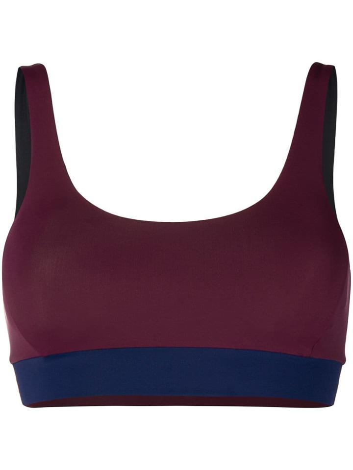 Angelys Balek Tank Bra Top - Pink & Purple