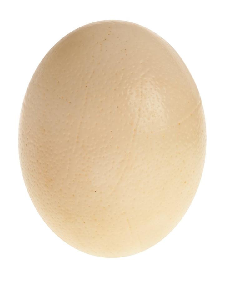 Maison Margiela Ostrich Egg Shell, Adult Unisex, Nude/neutrals