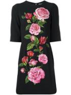 Dolce & Gabbana Rose Print Cady Dress, Women's, Size: 44, Black, Viscose/silk/spandex/elastane