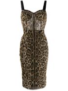 Dolce & Gabbana Leopard Print Fitted Dress - Brown