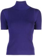 Jason Wu Ribbed Knit Top - Blue