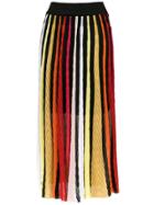 Cecilia Prado Alice Midi Skirt - Black
