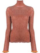 Chloé Slim-fitted Frilled Turtleneck - Brown