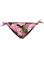 Dolce & Gabbana Rose Print Bikini Bottoms, Women's, Size: Iv, Pink/purple, Polyamide/spandex/elastane