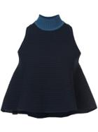 Fendi Ribbed Knit Top - Blue