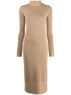 Agnona Fitted Sweater Dress - Brown