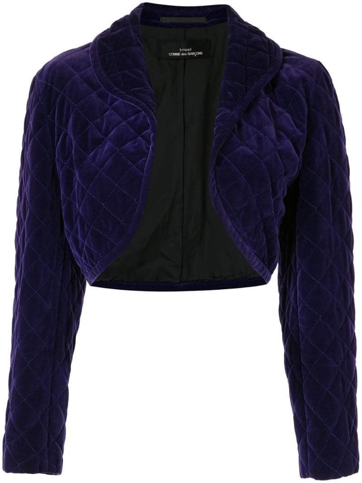 Comme Des Garçons Pre-owned Velvet Effect Diamond Quilted Jacket -