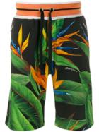 Dolce & Gabbana Bird Of Paradise Bermuda Shorts - Black