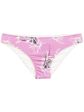 Clube Bossa Narchos Bikini Bottons - Pink & Purple