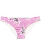 Clube Bossa Narchos Bikini Bottons - Pink & Purple