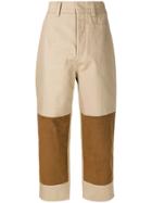 Sofie D'hoore Panelled Cropped Trousers - Nude & Neutrals