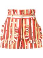 Elisabetta Franchi Striped High-waisted Shorts - Orange