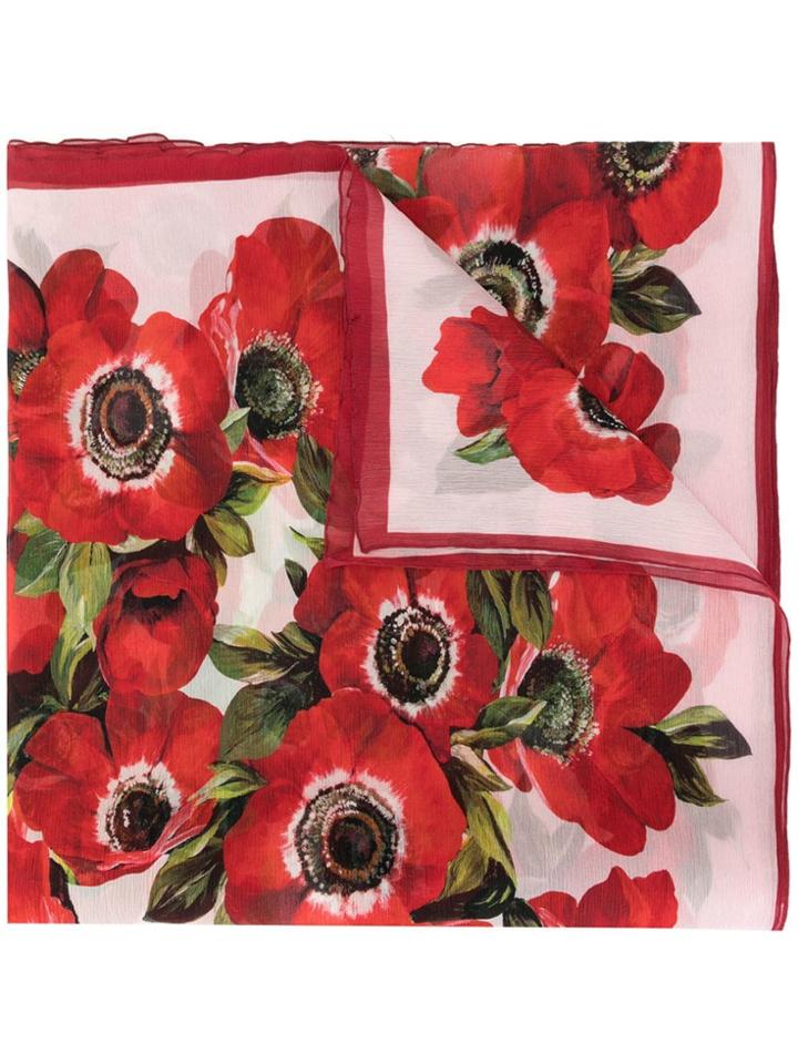 Dolce & Gabbana Floral Embroidered Scarf