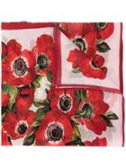 Dolce & Gabbana Floral Embroidered Scarf
