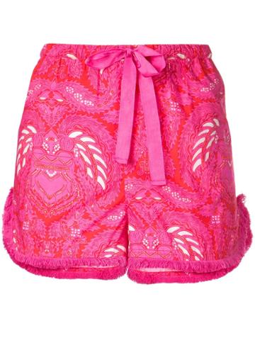 Figue Pascal Shorts - Pink